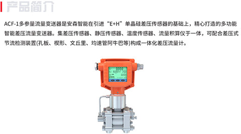 多參量流量變送器的詳細(xì)介紹
